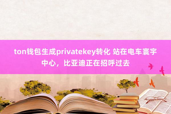 ton钱包生成privatekey转化 站在电车寰宇中心，比亚迪正在招呼过去